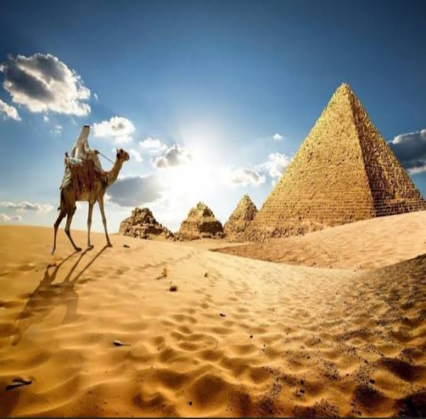 Cairo Top Tours: The Egyptian Museum, Bazaar, and Pyramids of Giza.